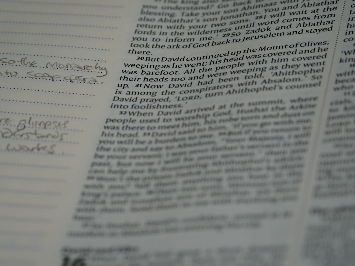 The Ultimate Guide to Buying Recommendation Letters That Get Results