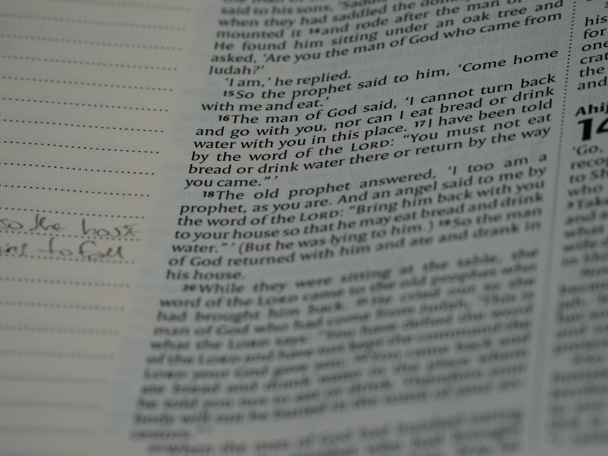 Top Mistakes People Make When Buying Recommendation Letters