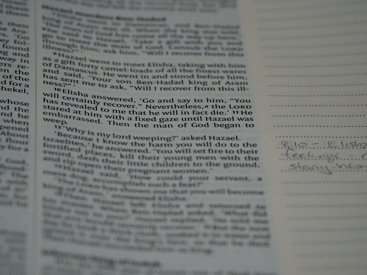 5 Questions to Ask Before Purchasing a Letter of Recommendation