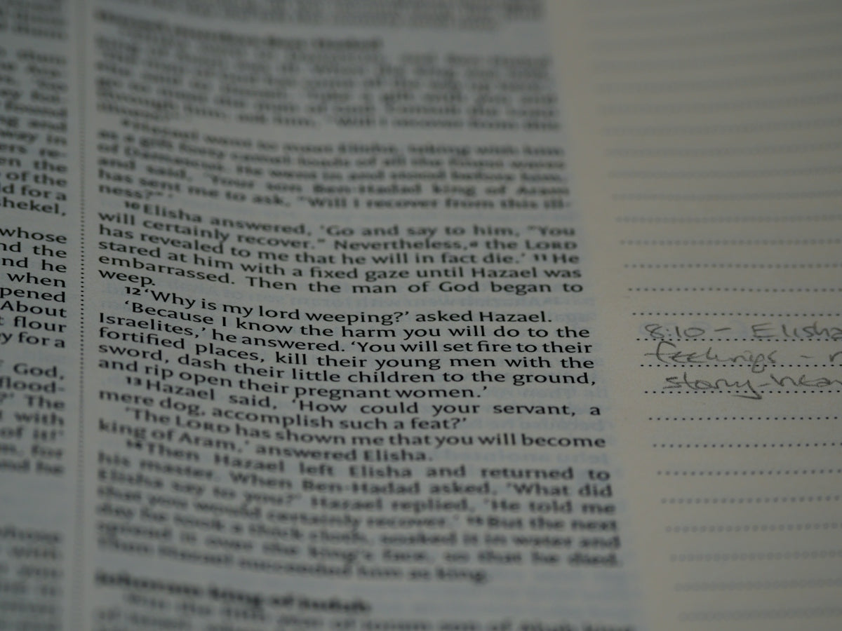 Is It Time to Buy a Recommendation Letter? What Applicants Need to Consider