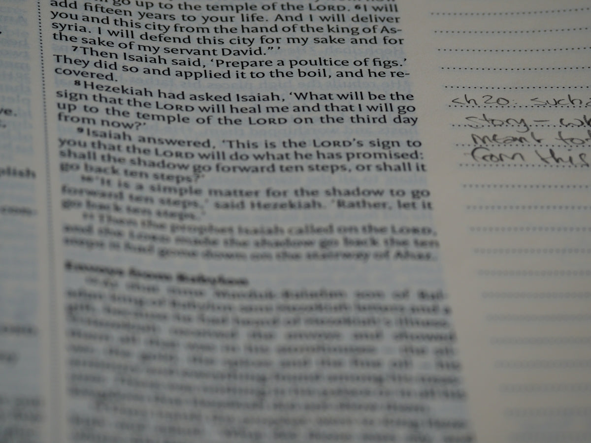 Top Reasons to Choose a Professional for Your Letter of Recommendation