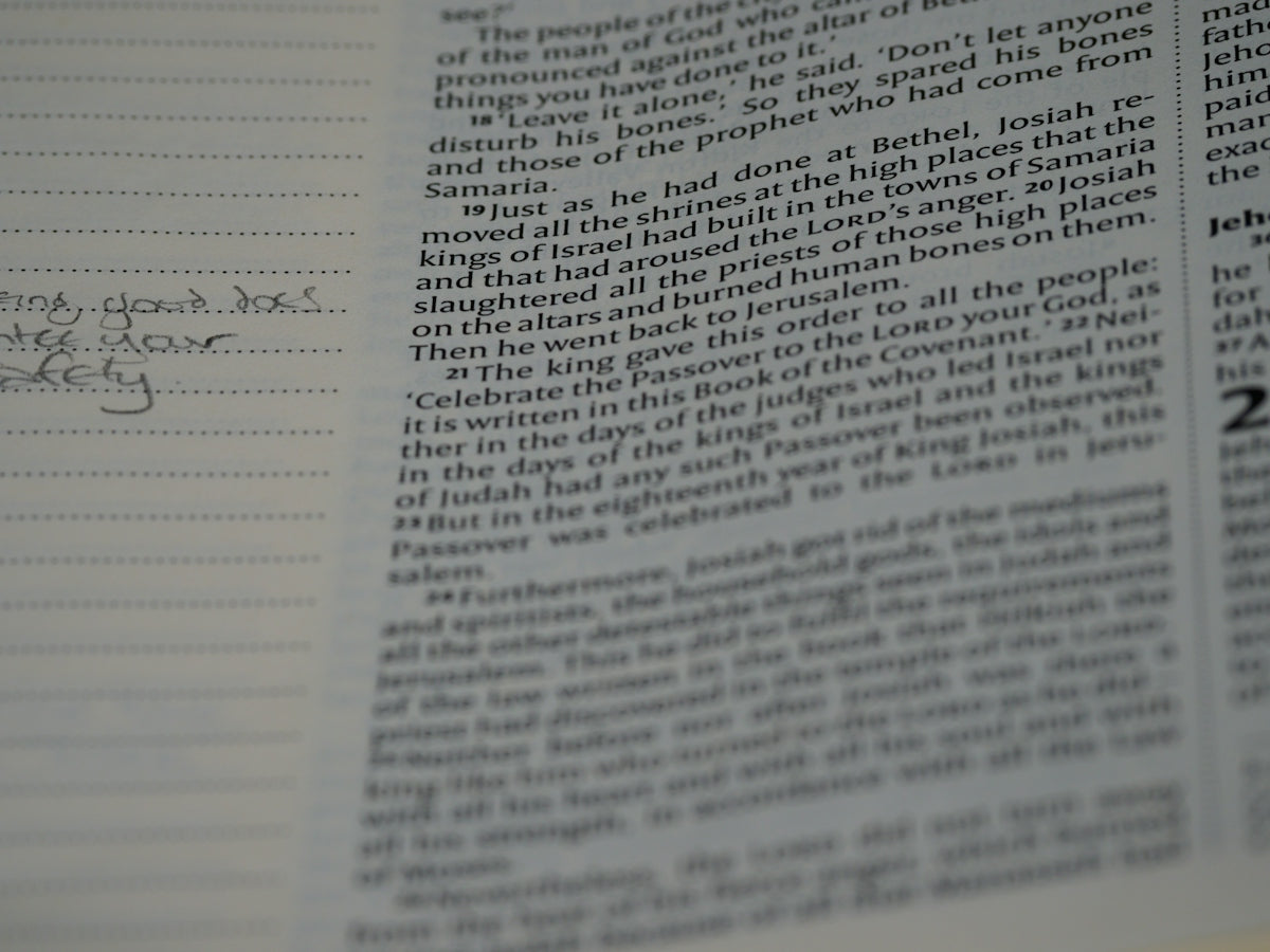 Solving the Dilemma: A Thoughtful Guide to Buy Recommendation Letters