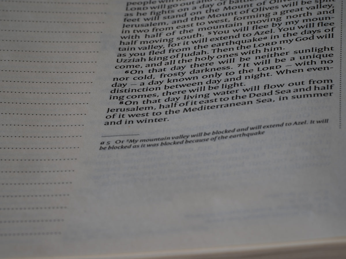 Buying a Letter of Recommendation: Expert Answers to Commonly Asked Questions