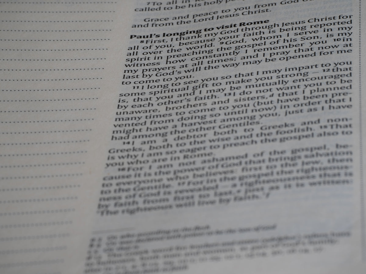 Can You Really Benefit from a Letter of Recommendation Service Here's What We Found
