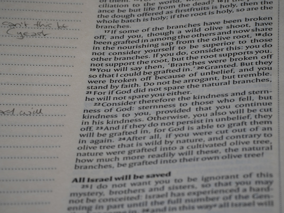 Pros and Cons of Utilizing a Recommendation Letter Service Explored
