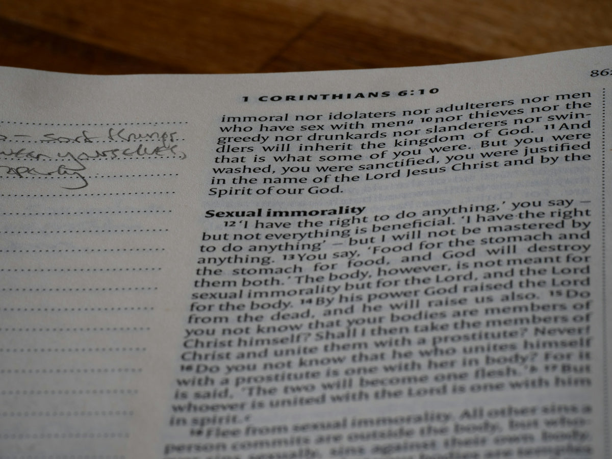 Elevate Your Application Game with the Right Letter of Recommendation Service