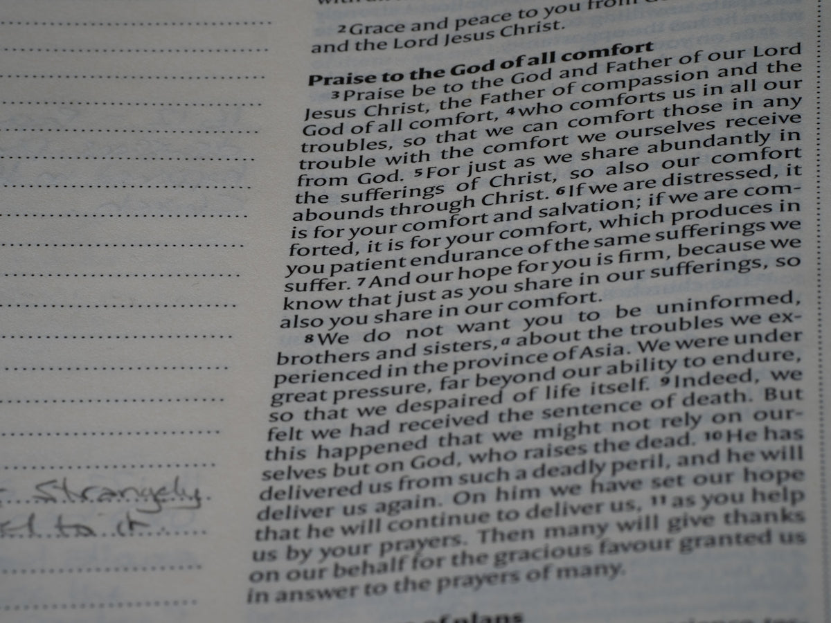 The Pros and Cons of Using a Letter of Recommendation Service