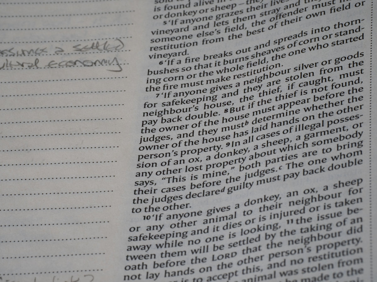Essential Tips When Buying a Letter of Recommendation for Your Career