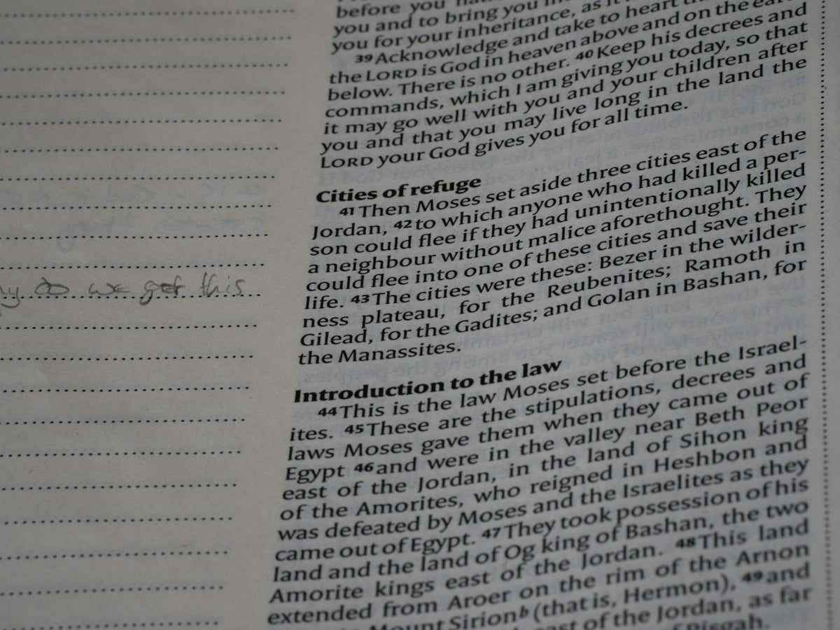 Navigating the Basics: Buying a Recommendation Letter in a Secure Manner